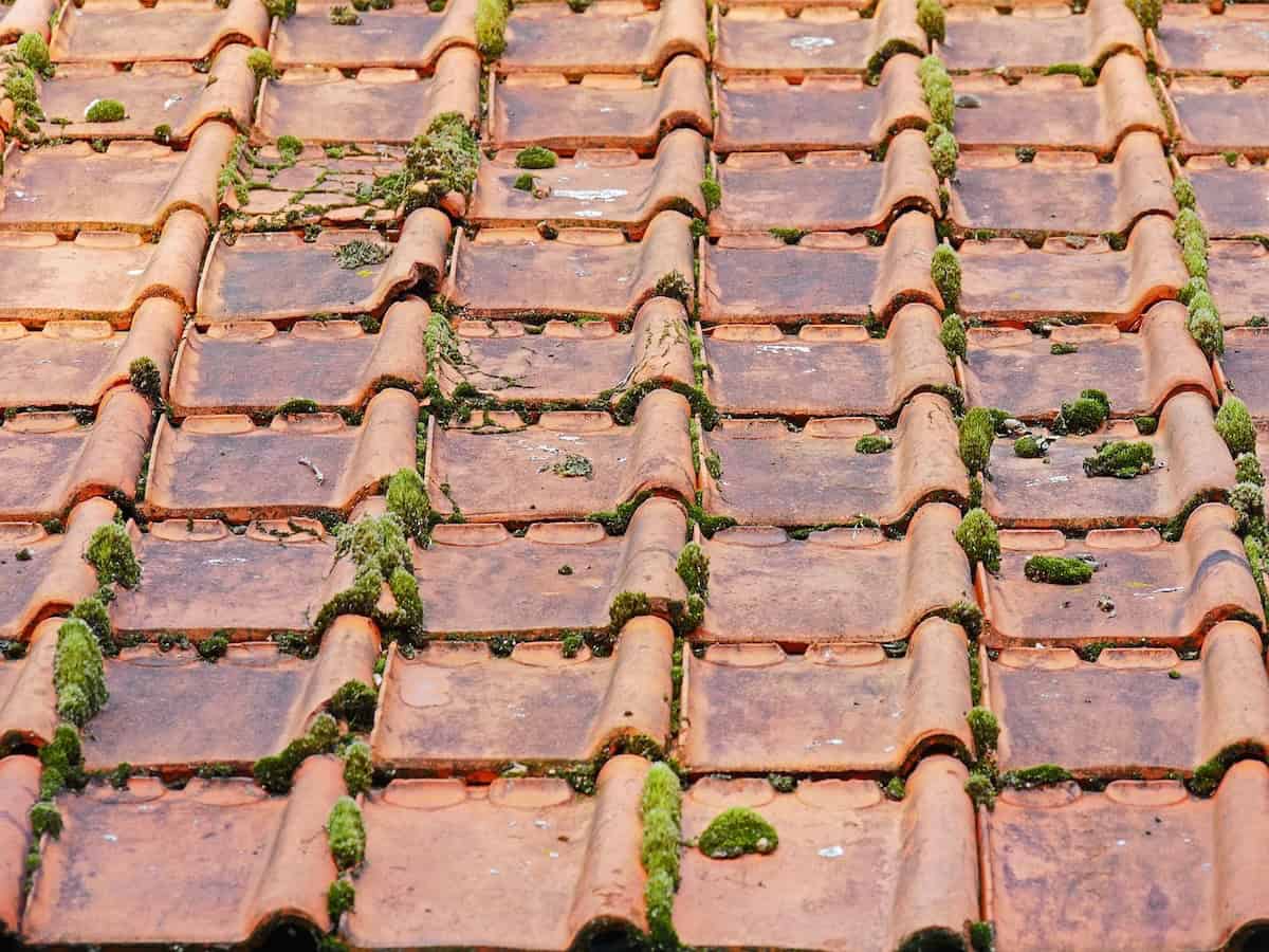 Roof Repair