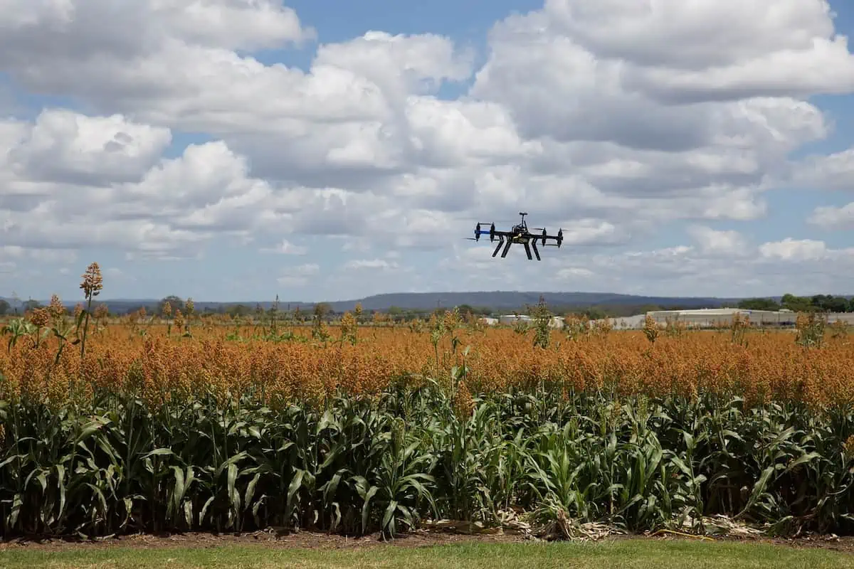 Using Blockchain to Solve Agricultural Supply Chain Issues!