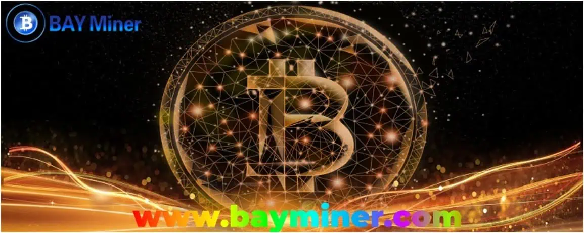 BAY Miner
