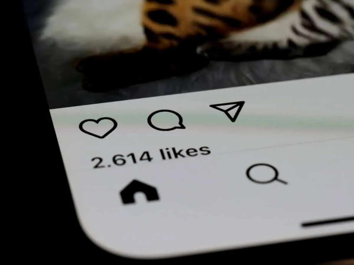 Social Media Followers