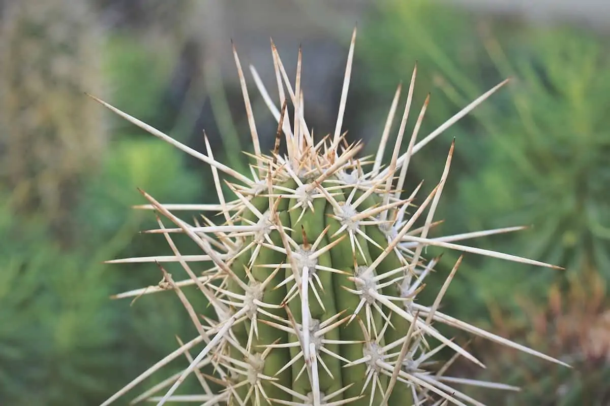 A “Don’t Touch”  Strategy will Dramatically Lean out your Supply Chain!