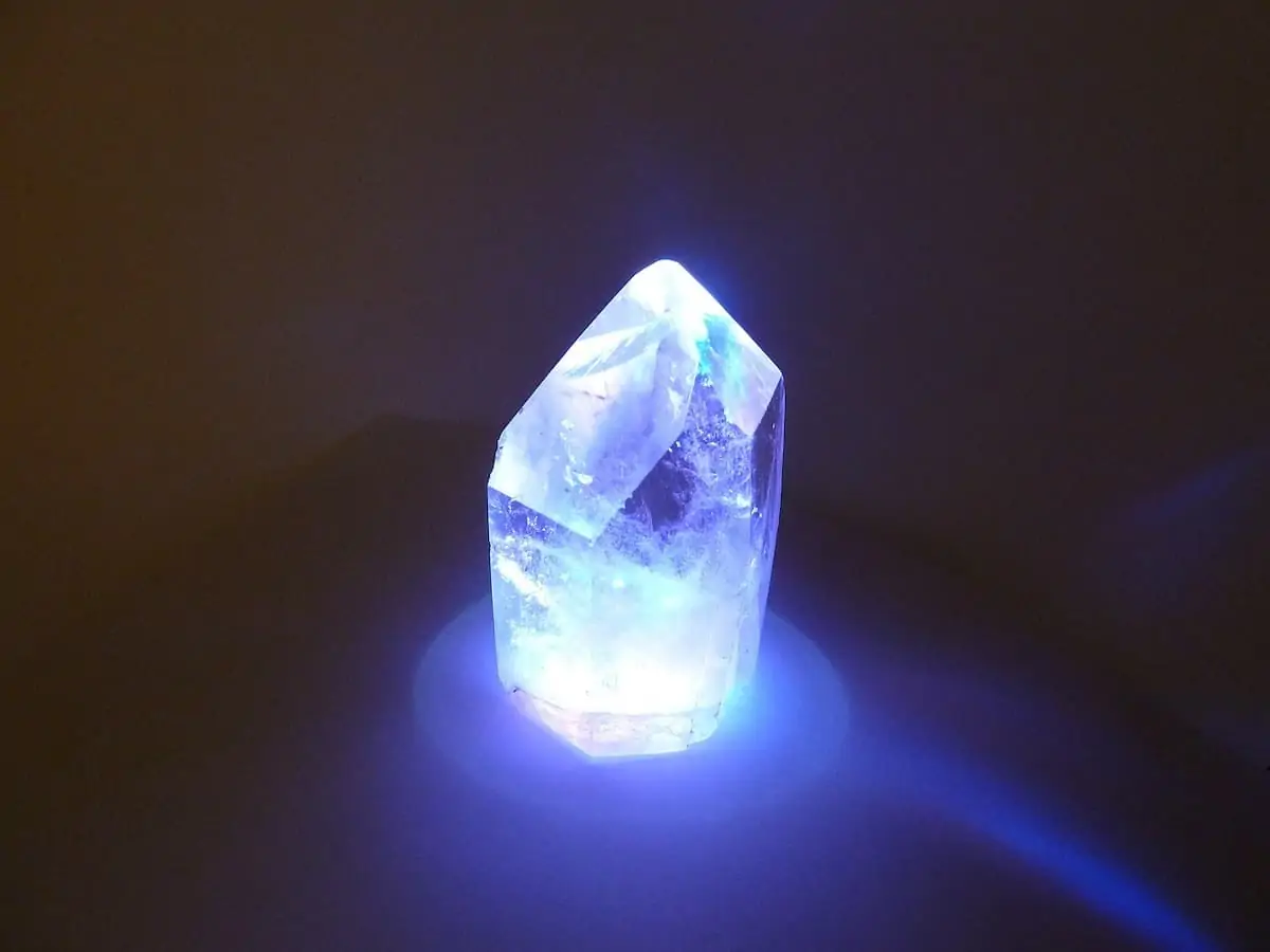 Supply Chain Transparency