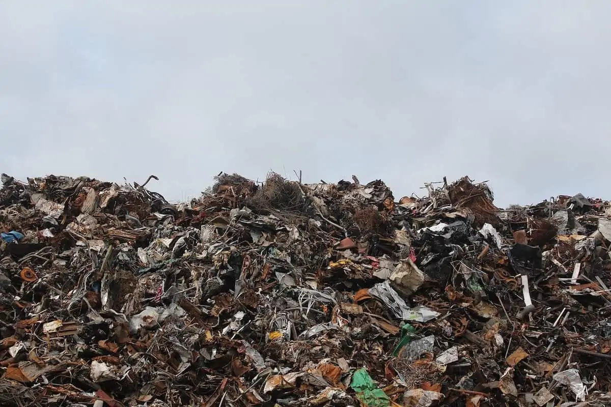 Tackle Food Waste