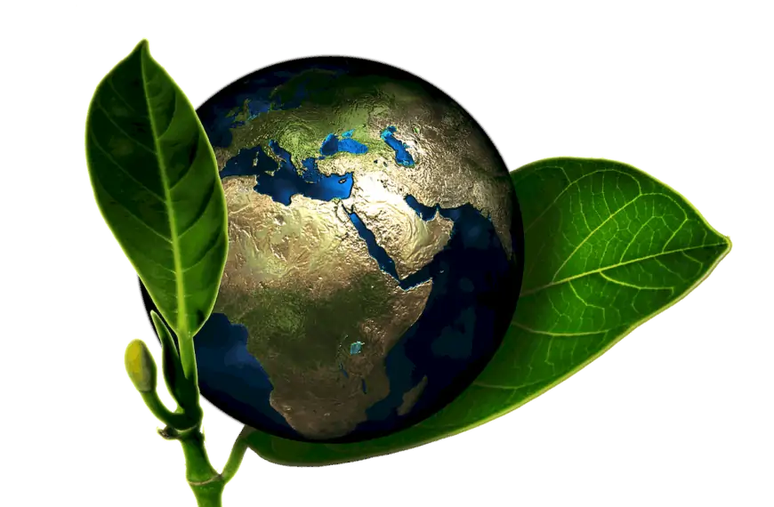 Green Supply Chain