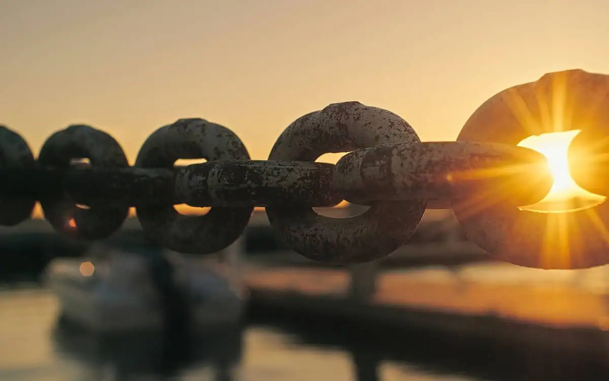 Resilient Supply Chains