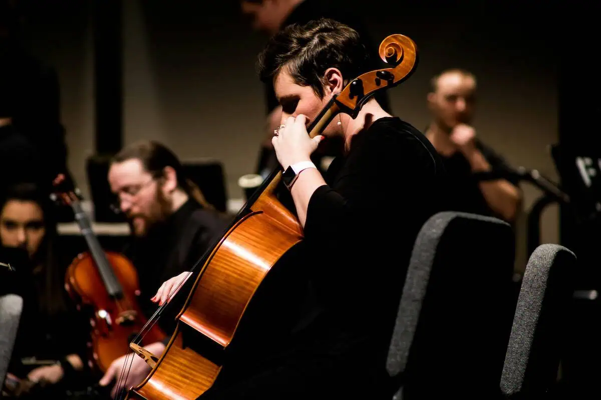 String Size Showcase: Highlighting the Variety in String Instrument Dimensions!