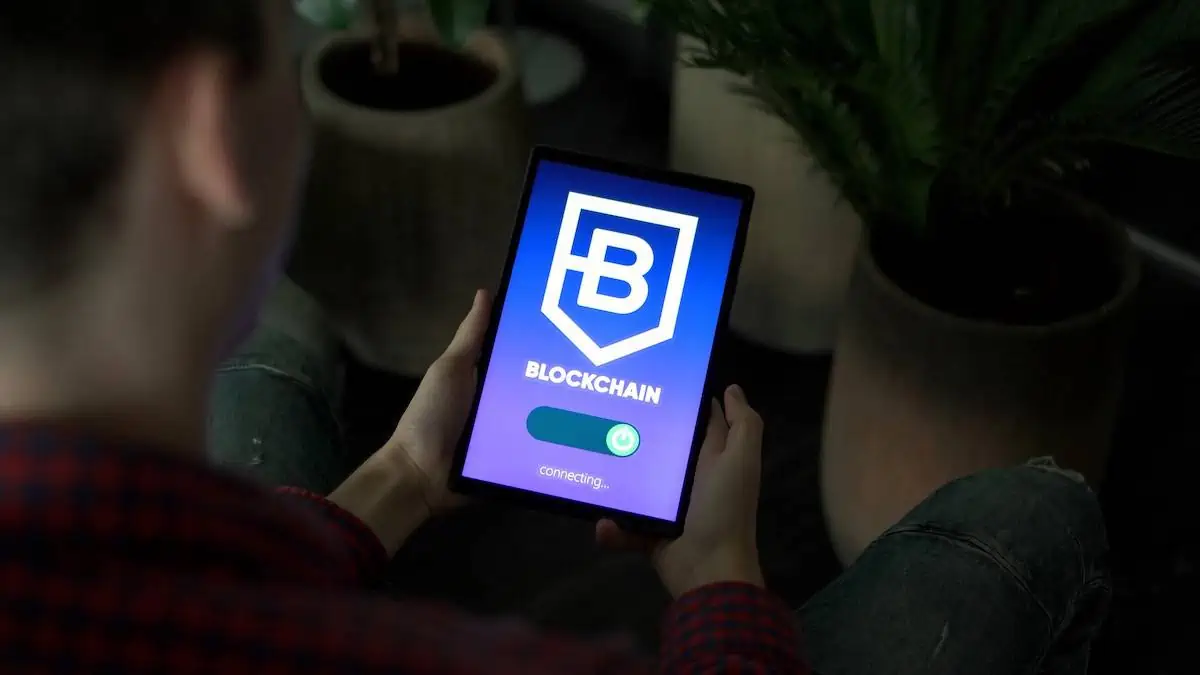 Blockchain in Betting: How Bitcoin Casinos in New Zealand Impact Supply Chain Transparency!