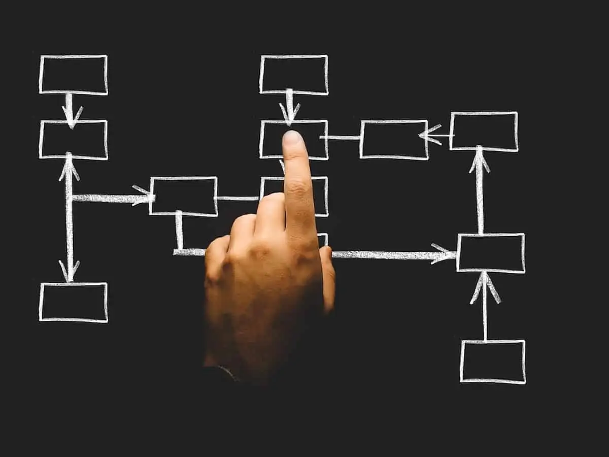Organization Design