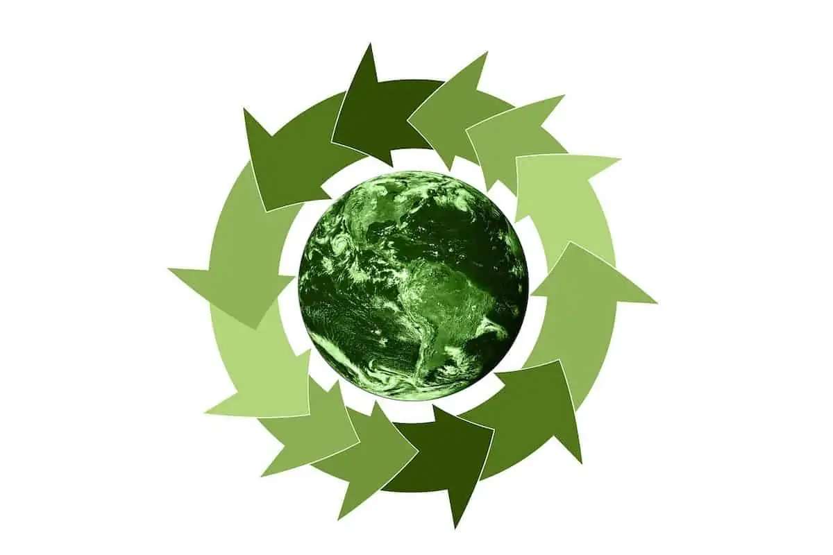 Sustainable Packaging!  (Infographic)